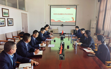 標(biāo)題：銷售黨支部召開組織生活會暨民主評議黨員會議
瀏覽次數(shù)：373
發(fā)表時間：2025-02-26